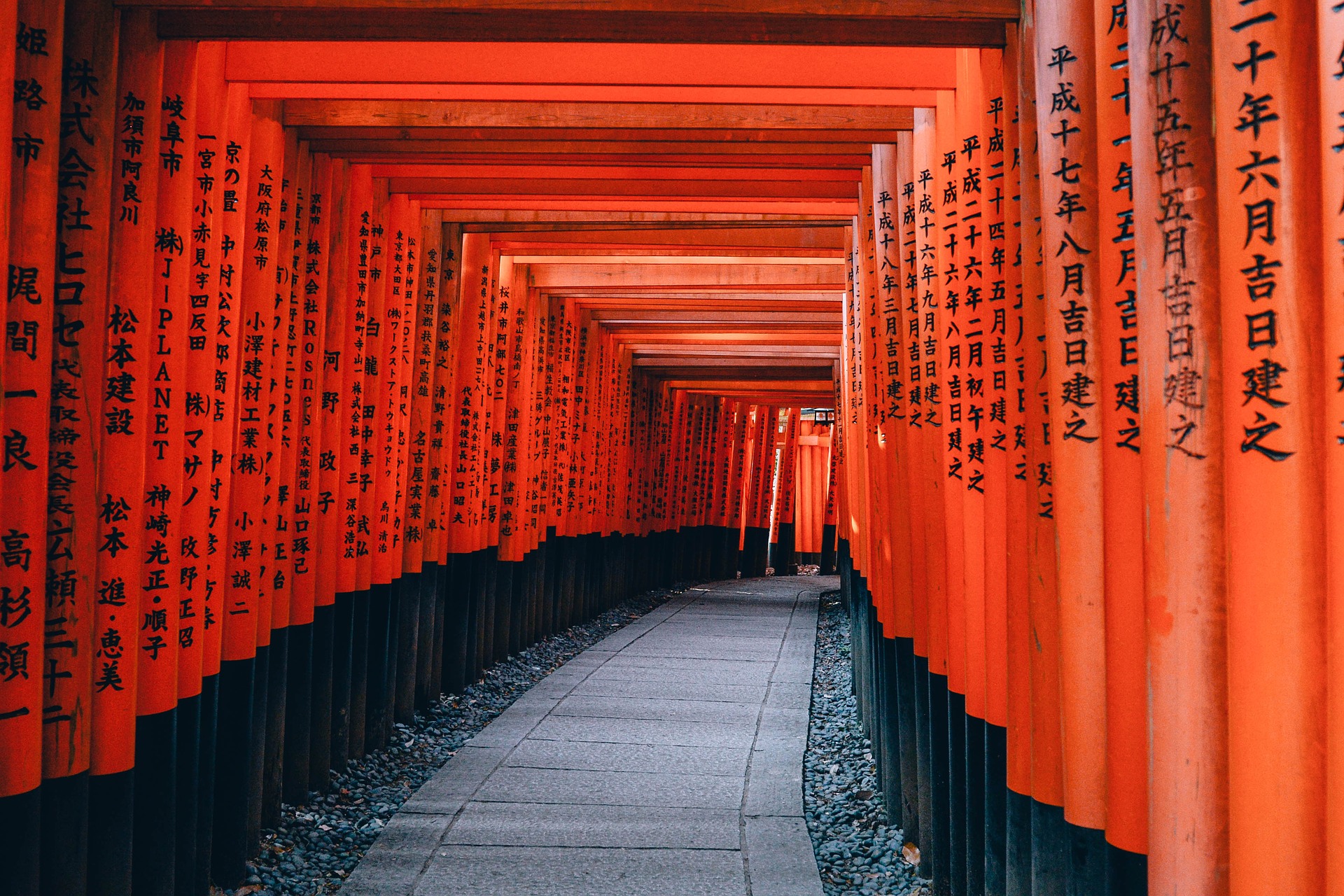 Blog